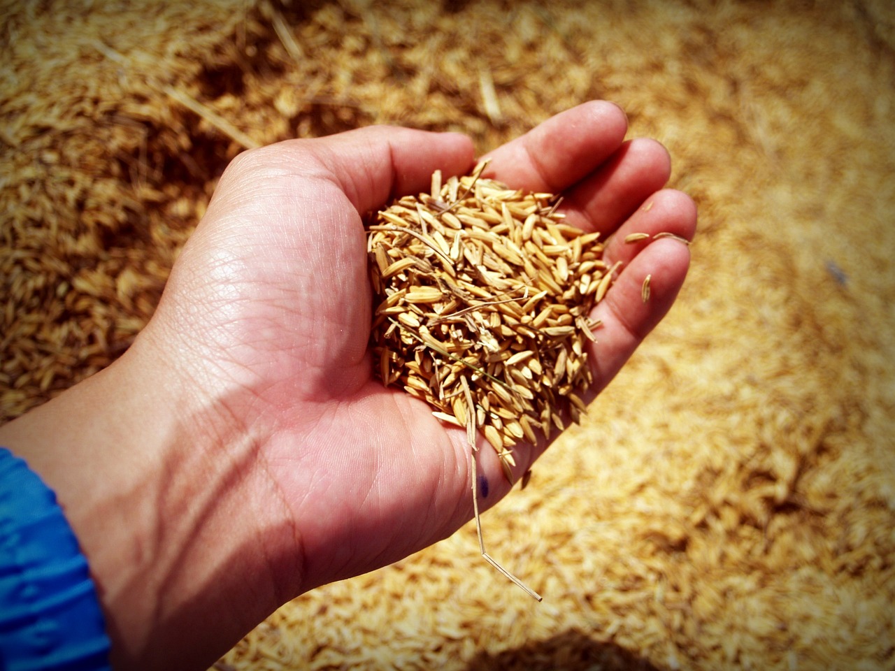 Sztuka przyrządzania dań z ryżu: przepisy na aromatyczne i sycące potrawy z wykorzystaniem tego uniwersalnego składnika